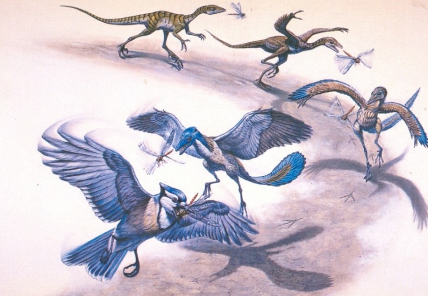 dinosaurtobirdevolution